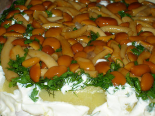 Картинка еда грибы грибные блюда