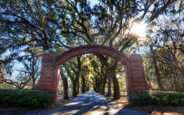 Картинка природа дороги