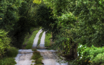 Картинка природа дороги