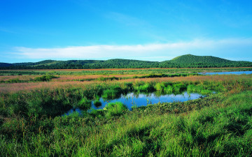 Картинка природа пейзажи