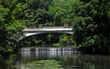 Картинка природа реки озера