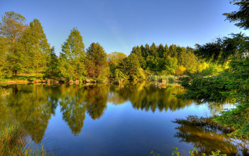 Картинка природа реки озера