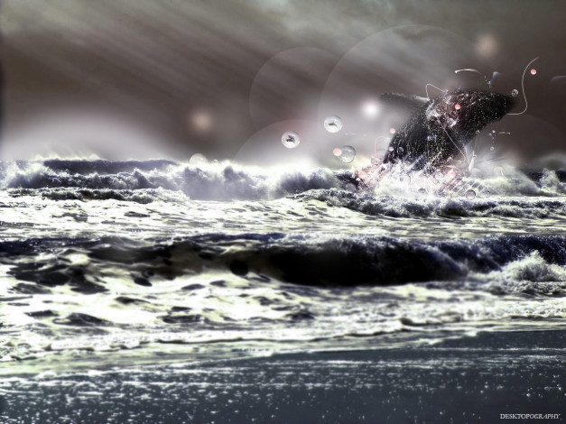 Обои картинки фото разное, компьютерный, дизайн