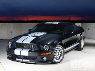 Картинка 2008 ford shelby gt500 автомобили mustang