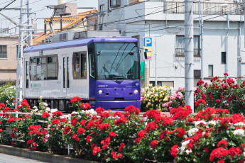 Картинка техника трамваи