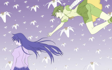 Картинка аниме bakemonogatari kanbaru+suruga девушка форма бинт шорты цветы senjougahara+hitagi