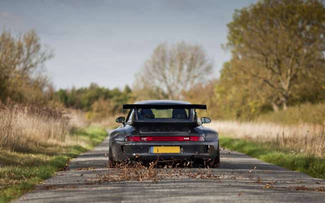 Обои картинки фото автомобили, porsche, листья