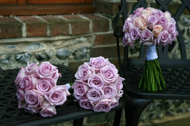 Обои картинки фото цветы, розы, букеты