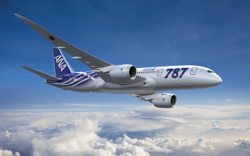 Картинка авиация 3д рисованые graphic boeing 787