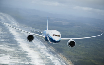 Картинка авиация 3д рисованые graphic boeing 787