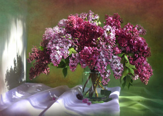 Картинка цветы сирень букет