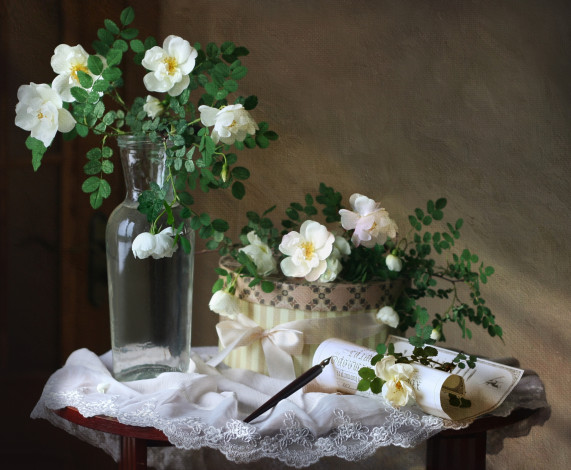 Обои картинки фото цветы, шиповник, перо, коробка