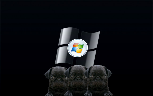 Обои картинки фото компьютеры, windows vista, windows longhorn, собаки, фон, логотип