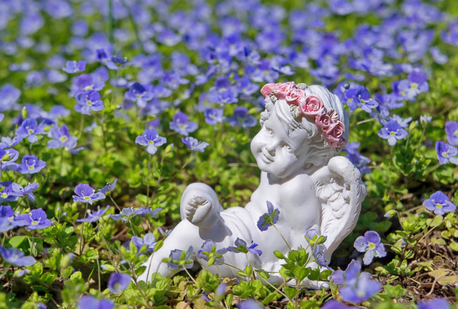 Обои картинки фото разное, садовые и парковые скульптуры, ангелочек, вероники