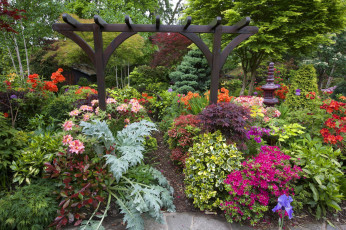 Картинка природа парк цветы кусты