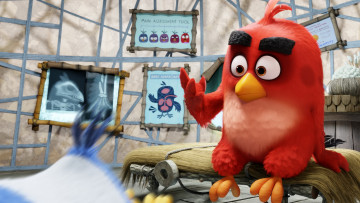 Картинка мультфильмы the+angry+birds+movie персонажи