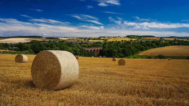 Обои картинки фото природа, поля, поле, валок