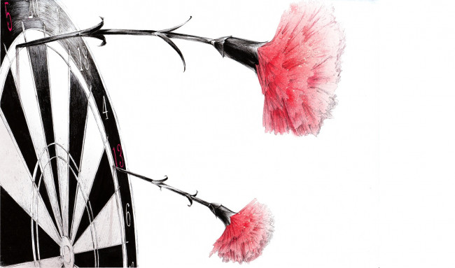 Обои картинки фото рисованное, цветы, гвоздики, мишень