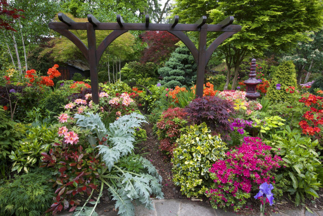 Обои картинки фото природа, парк, цветы, кусты