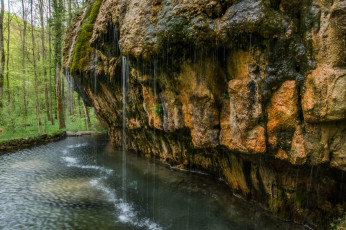 Картинка природа реки озера река лес