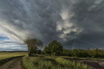 Картинка природа стихия ненастье