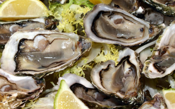 Картинка еда рыбные+блюда +с+морепродуктами устрицы