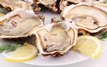 Картинка еда рыбные+блюда +с+морепродуктами устрицы