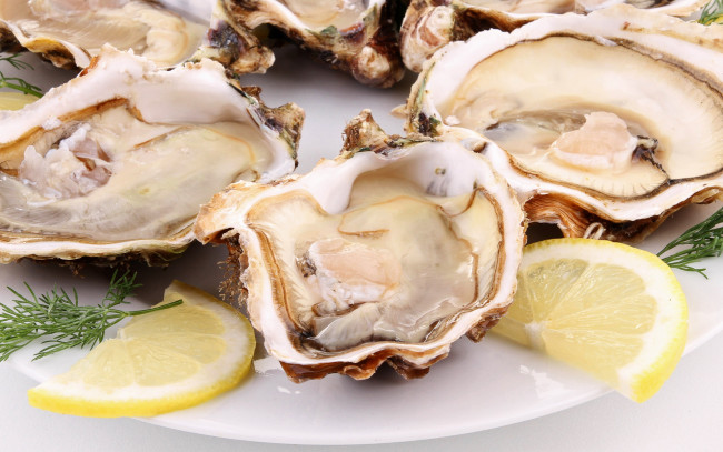 Обои картинки фото еда, рыбные блюда,  с морепродуктами, устрицы