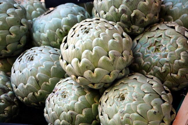 Обои картинки фото еда, артишок, артишоки, экзотика, много