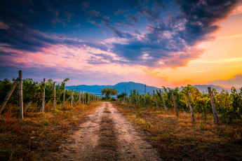 Картинка природа дороги простор