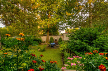 Картинка природа парк бархатцы лужайка деревья