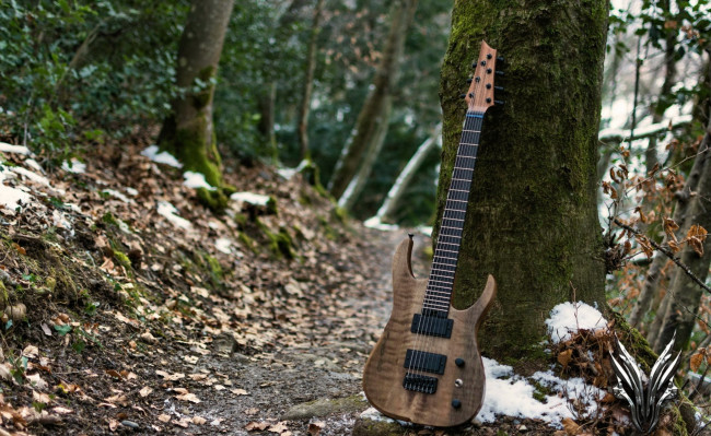 Обои картинки фото музыка, -музыкальные инструменты, гитара