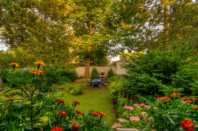 Обои картинки фото природа, парк, бархатцы, лужайка, деревья