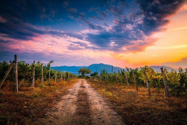 Обои картинки фото природа, дороги, простор