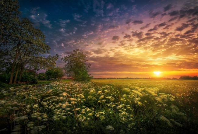 Обои картинки фото природа, восходы, закаты, простор