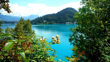 Картинка города блед+ словения озеро