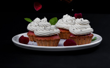 Картинка еда пирожные +кексы +печенье кексы