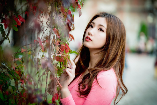 Обои картинки фото девушки, - азиатки, шатенка, листья