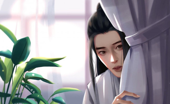 Обои картинки фото рисованное, кино,  мультфильмы, вэй, усянь, цветок, шторы