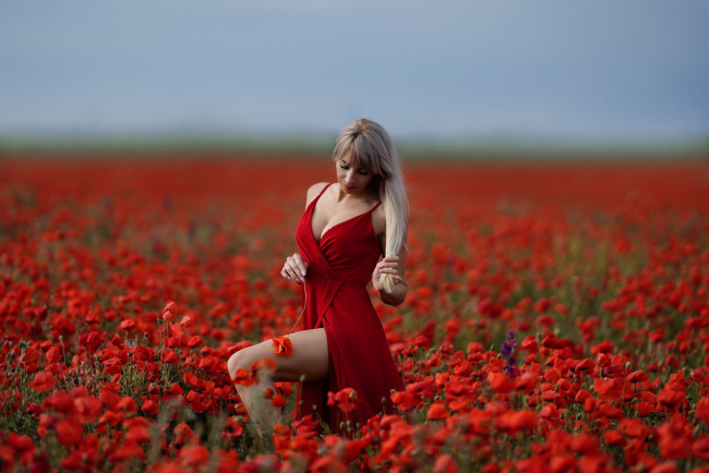 Обои картинки фото девушка - girl, девушки, - блондинки,  светловолосые, девушка, женщина, блондинка, светловолосая, сексуальная, модель, звезда, позирует, разная, обувь, верхняя, стильная, одежда, нижнее, эротическое, бельё, трусы, лифчик, колготки, чулки, аксессуары, макияж, и, множество, элементов, на, фотографии