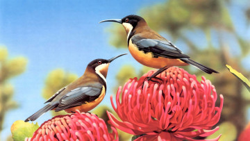 Картинка 295476 рисованное животные +птицы птица