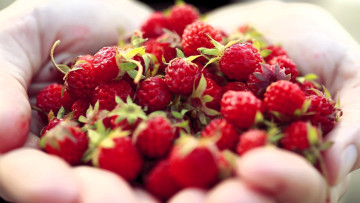 Картинка еда малина руки ягоды пригоршня угощение