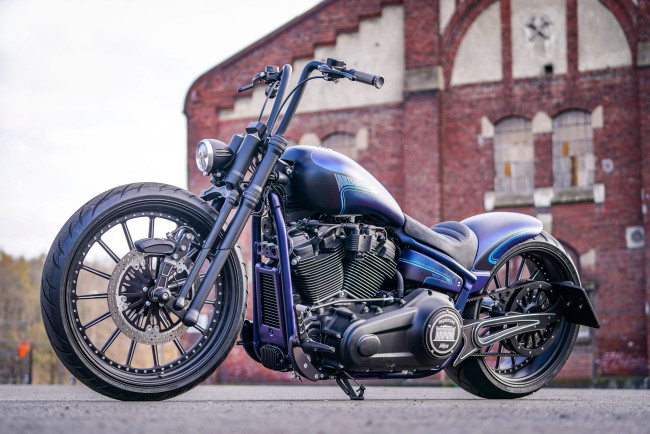 Обои картинки фото harley, мотоциклы, harley-davidson, thunderbike, customs, мотоцикл, байк