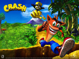 Картинка crash bandicoot the wrath of cortex видео игры
