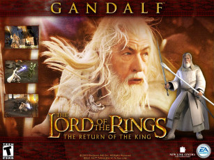 Картинка lord of the rings return king видео игры