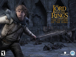 Картинка lord of the rings return king видео игры