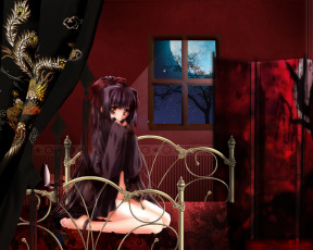 Картинка аниме moonlight lady