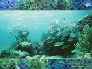 обоя животные, рыбы