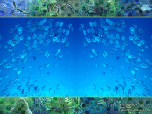 Картинка животные рыбы