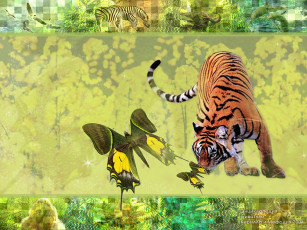 обоя животные, тигры